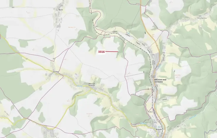 Dražba lesa, Bělá nad Svitavou, 327 m2