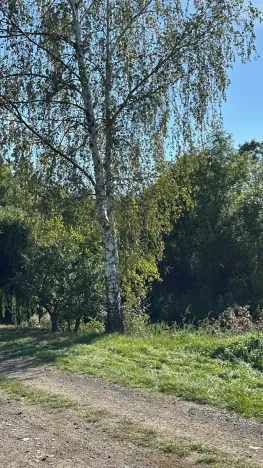 Prodej pozemku pro bydlení, Most, Mlýnská, 237 m2