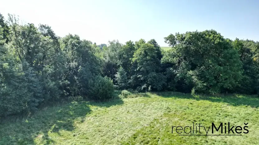 Prodej louky, Křižany, 1044 m2