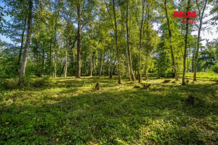 Prodej pozemku pro bydlení, Hradištko, 3825 m2