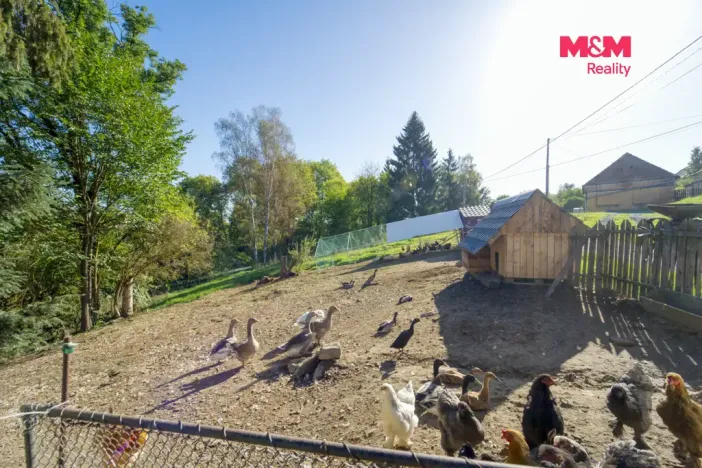 Prodej zemědělské usedlosti, Čečovice, 70 m2