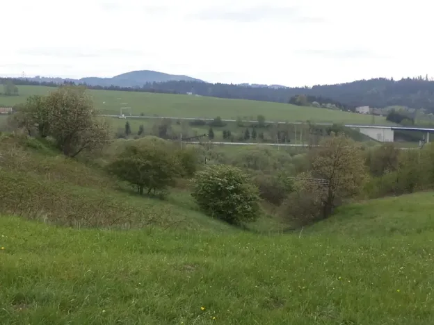 Dražba louky, Mosty u Jablunkova, 1105 m2