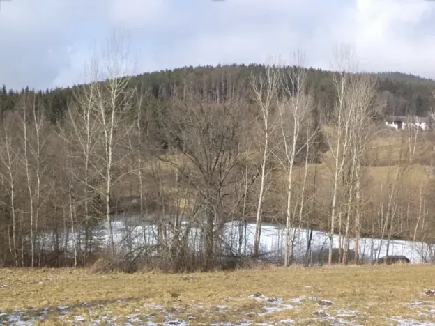 Dražba louky, Kájov, 10344 m2