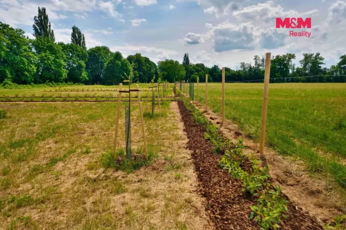 Prodej zahrady, Hradec Králové - Pražské Předměstí, 500 m2