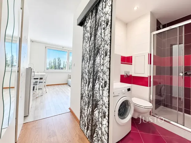 Prodej bytu 1+kk, Ústí nad Labem, SNP, 20 m2