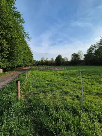 Prodej pozemku pro bydlení, Skalice u České Lípy, 3506 m2