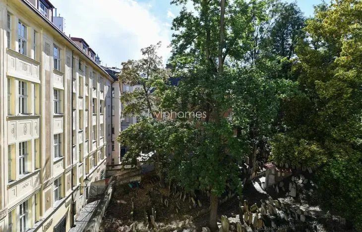 Pronájem bytu 2+kk, Praha - Josefov, Maiselova, 90 m2