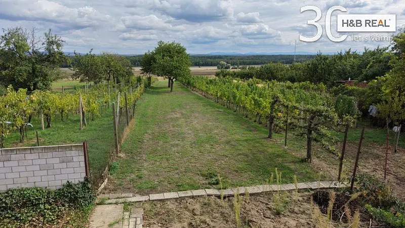 Prodej rodinného domu, Tvrdonice, Vinohradní, 180 m2
