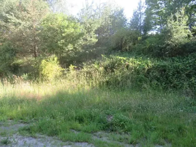 Dražba pozemku, Nové Strašecí, 860 m2