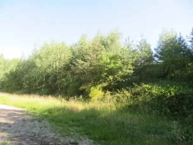 Dražba pozemku, Nové Strašecí, 860 m2