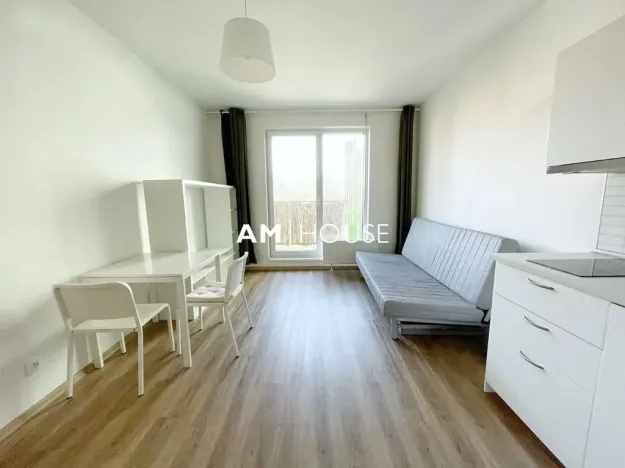 Pronájem bytu 1+kk, Praha - Malešice, Nad úžlabinou, 28 m2
