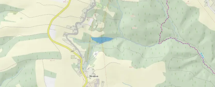 Prodej lesa, Strážná, 11485 m2