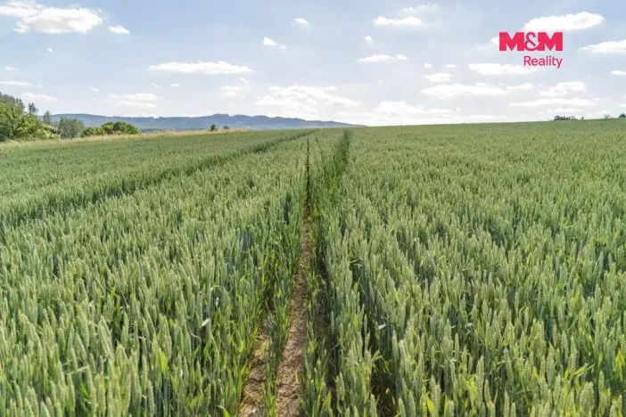Prodej pole, Rožmitál pod Třemšínem - Skuhrov, 1104 m2