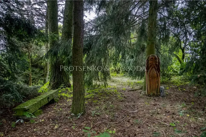 Prodej vícegeneračního domu, Pavlov, 354 m2
