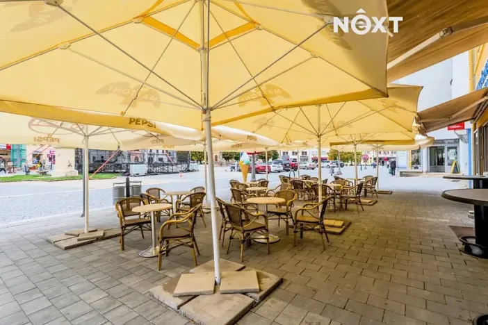 Prodej rodinného domu, Vyškov, Masarykovo náměstí, 839 m2