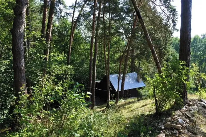 Prodej lesa, Strunkovice nad Volyňkou, 2510 m2