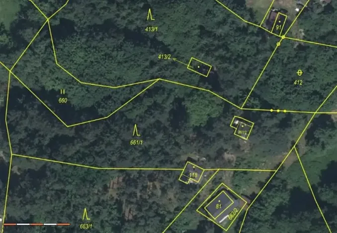 Prodej lesa, Strunkovice nad Volyňkou, 2510 m2