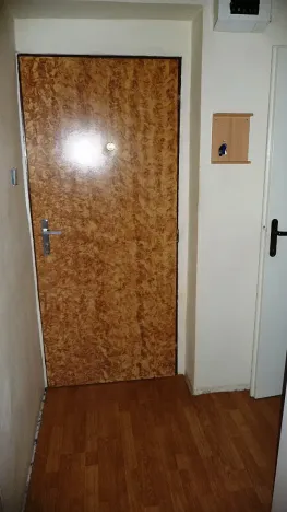 Pronájem bytu 1+1, Zabrušany, 45 m2