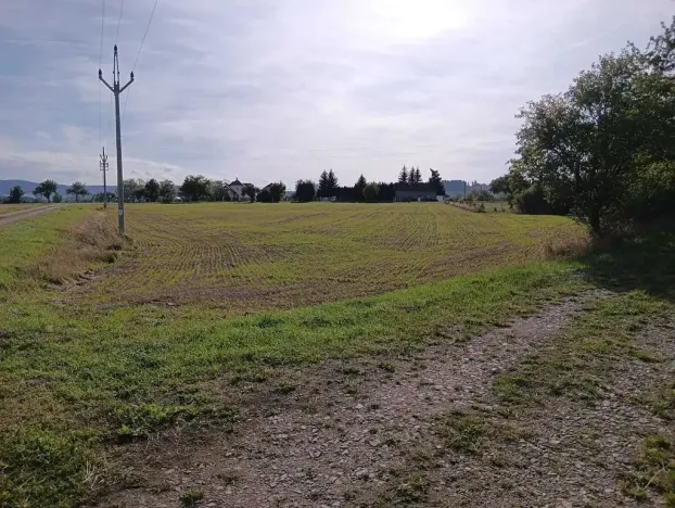 Dražba pole, Vrbice, 9030 m2