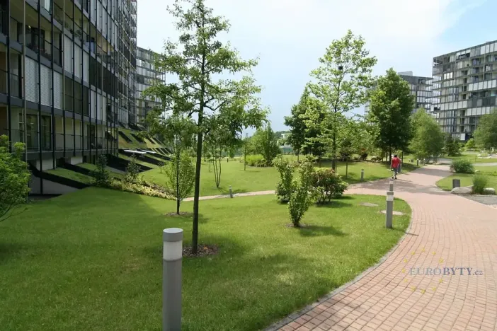 Pronájem bytu 2+kk, Praha - Žižkov, Pitterova, 70 m2