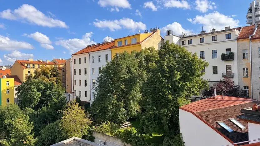 Prodej bytu 3+kk, Praha - Žižkov, Milíčova, 79 m2