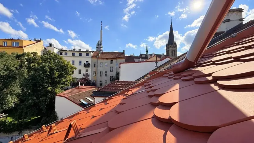 Prodej bytu 3+kk, Praha - Žižkov, Milíčova, 79 m2