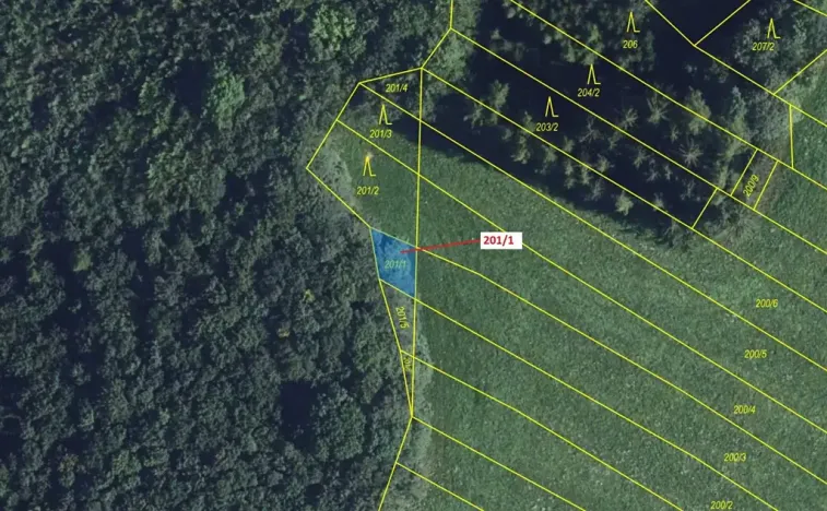Dražba lesa, Jenišovice, 92 m2