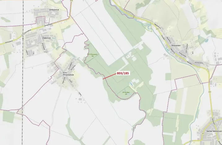 Dražba lesa, Přísnotice, 31 m2
