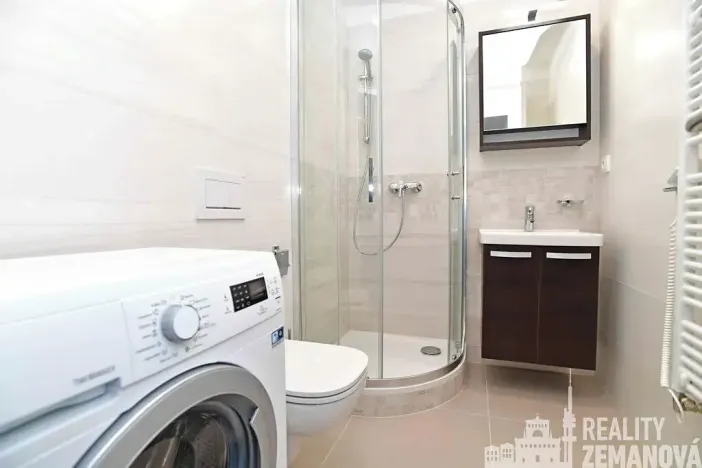 Pronájem bytu 1+kk, Praha - Vinohrady, Řipská, 30 m2