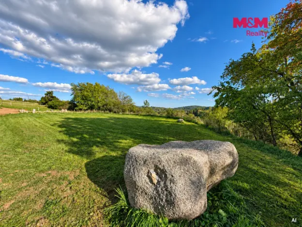 Pronájem komerčního pozemku, Planá, 33448 m2