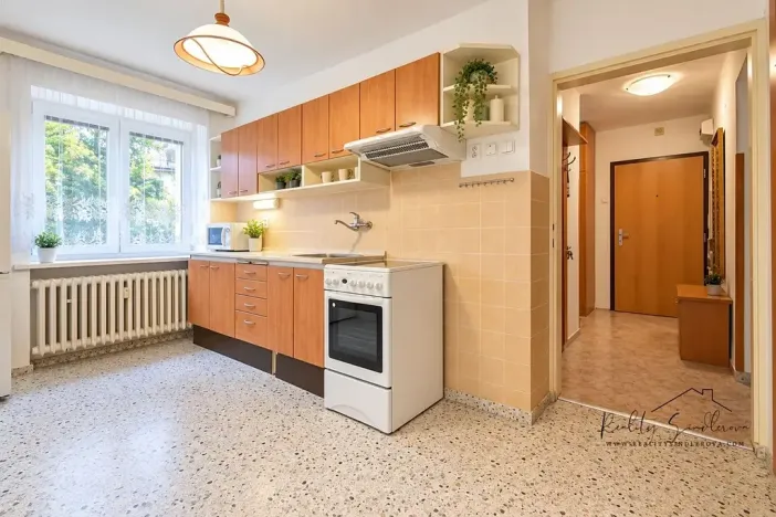 Pronájem bytu 1+1, Přerov, Č. Drahlovského, 45 m2