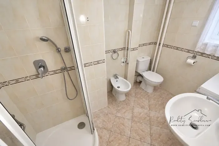 Pronájem bytu 1+1, Přerov, Č. Drahlovského, 45 m2