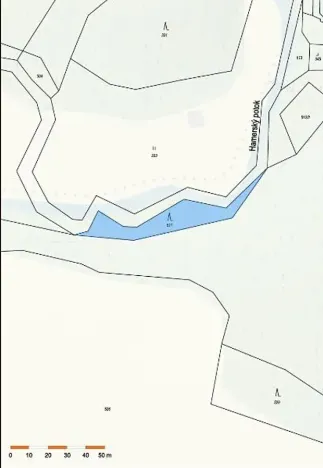 Prodej lesa, Strmilov, 881 m2