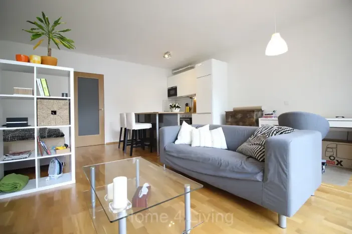 Prodej bytu 1+kk, Brno, Božetěchova, 45 m2