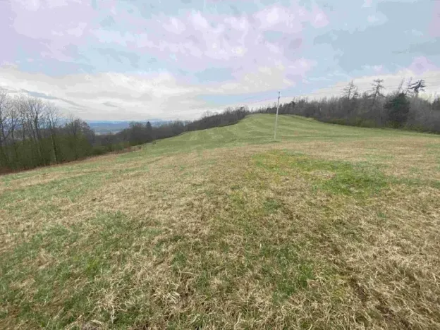 Dražba louky, Mírová pod Kozákovem, 14714 m2