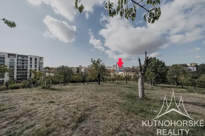 Prodej bytu 2+kk, Praha - Žižkov, Spojovací, 40 m2