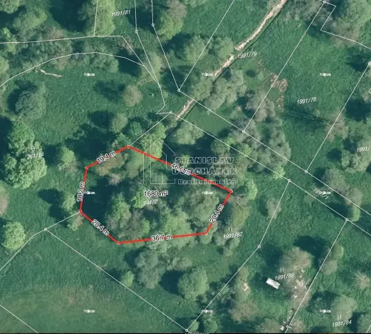 Prodej pozemku pro bydlení, Nová Ves, 4929 m2