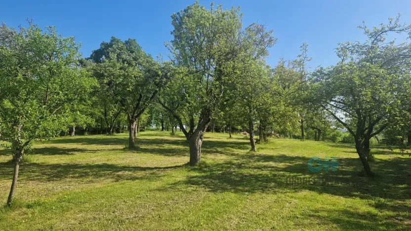 Prodej rodinného domu, Oprostovice, 330 m2