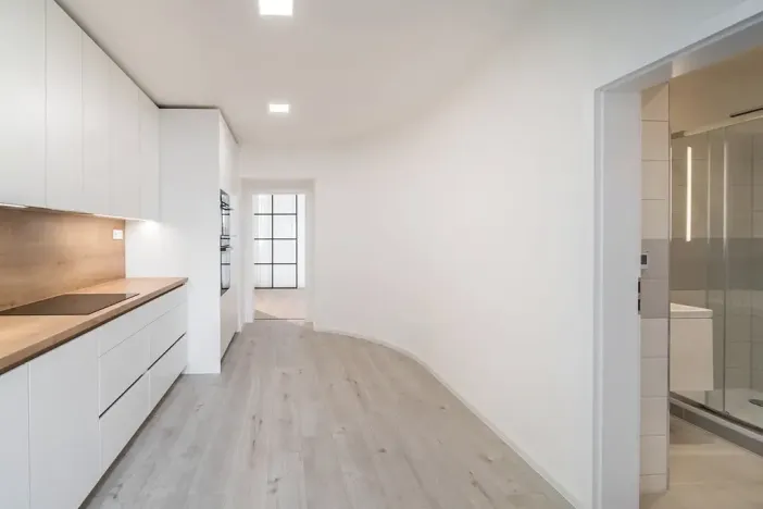 Prodej bytu 1+1, Brno, Cejl, 50 m2