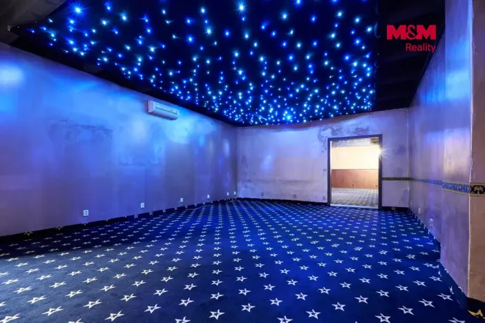 Pronájem obchodního prostoru, Uherský Brod, Moravská, 205 m2