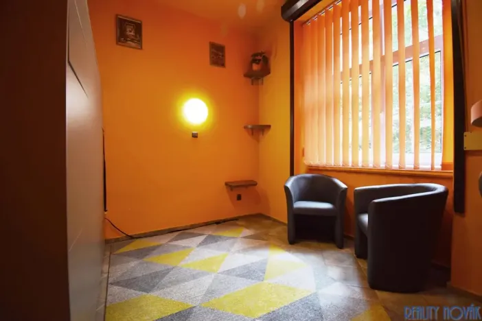 Pronájem bytu 1+kk, Praha - Žižkov, Blodkova, 20 m2