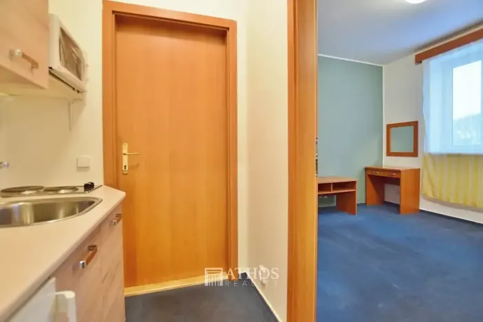 Pronájem bytu 1+kk, Brno, Horova, 27 m2