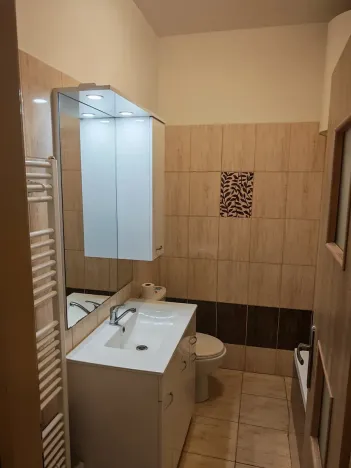 Pronájem bytu 1+1, Odry, Ke koupališti, 38 m2
