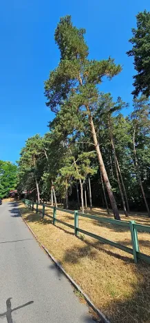 Pronájem bytu 2+kk, Brno, Sovinec, 42 m2