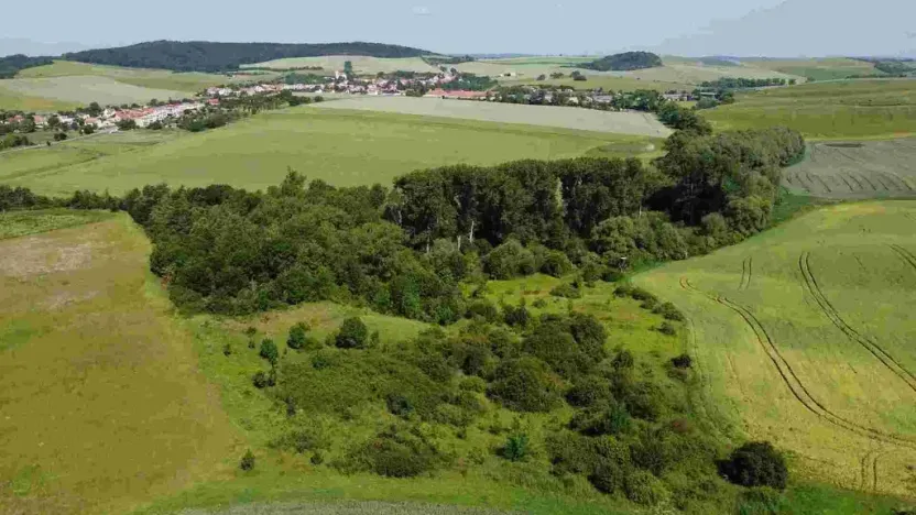 Prodej pole, Bučovice, 3134 m2