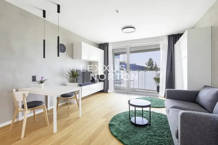 Pronájem bytu 1+kk, Praha - Michle, Hodonínská, 32 m2