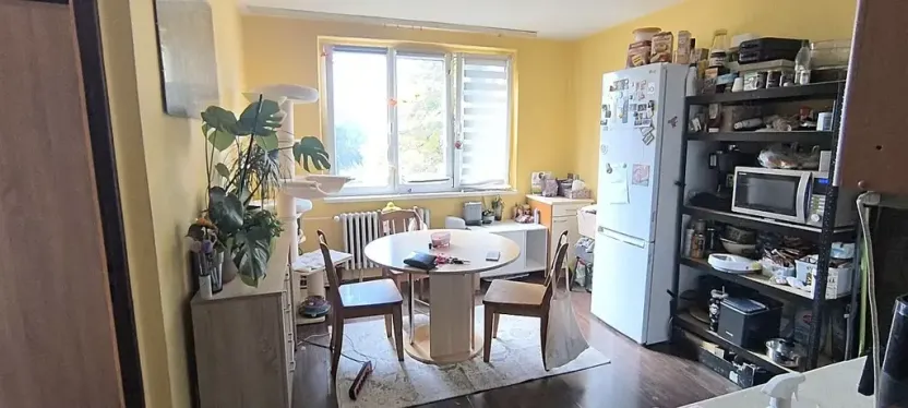 Pronájem bytu 1+1, Aš, Tylova, 36 m2