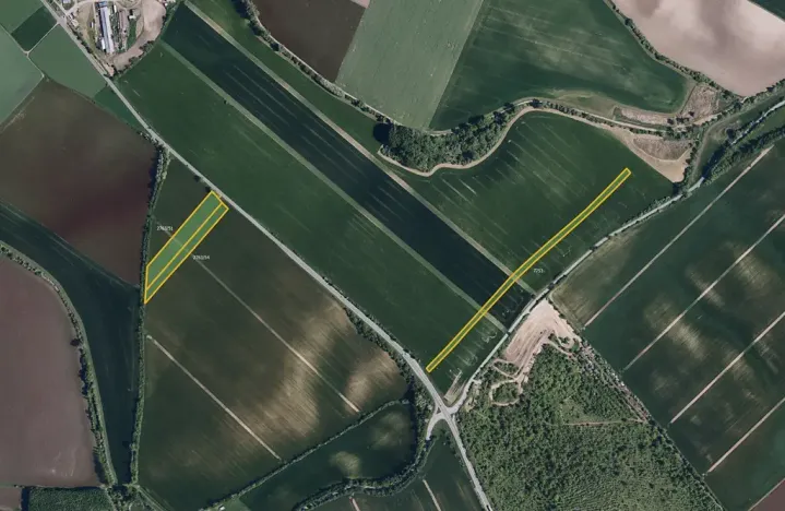 Prodej pole, 19820 m², Klobouky u Brna