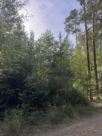 Prodej lesa, Novosedly nad Nežárkou, 67560 m2