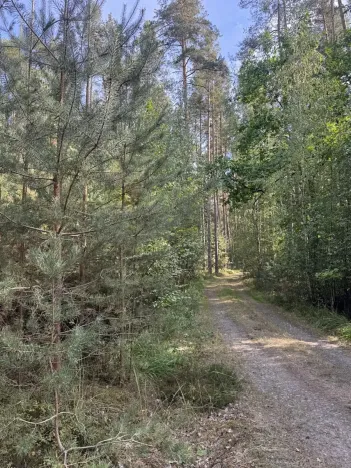 Prodej lesa, Novosedly nad Nežárkou, 67560 m2